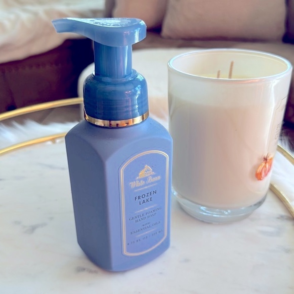 BATH & BODY WORKS FROZEN LAKE FORM HAND WASH